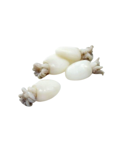 1 - ALICE LE GIOIE DEL MARE Gewürzte kleine Tintenfische 1 kg - RLZ 3 Monate