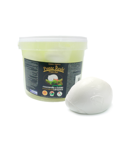 1 - PONTE REALE Mozzarella Bufala Campana AOP de l'arrière-pays de Caserte 8x250g - DLC 18 jours