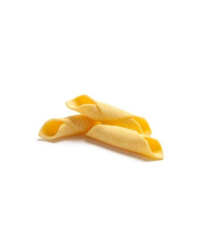 1 - FONTANETO Pasta Garganelli aus Hartweizengriess 1 kg - RLZ 2 Monate - 4 Min. Kochzeit