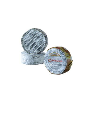 1 - CASEIFICIO DELL'ALTA LANGA Carboncino delle Langhe 170 g - RLZ 18 Tage - 1 Woche gereift