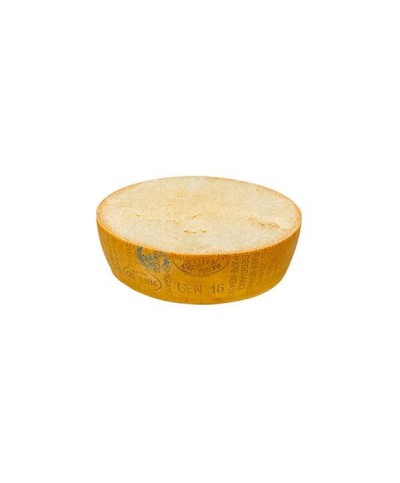 1 - BONI SPA Parmigiano Reggiano g.U. Riserva - 1/2 ganz 19 kg – RLZ 4 Monate – 36 Monate gereift