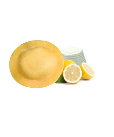 1 - FONTANETO Ravioli Delizia ripieno ricotta e limone MAP (63~ x 16 g  1 kg) - TMC 14 giorni - 5 minuti di cottura