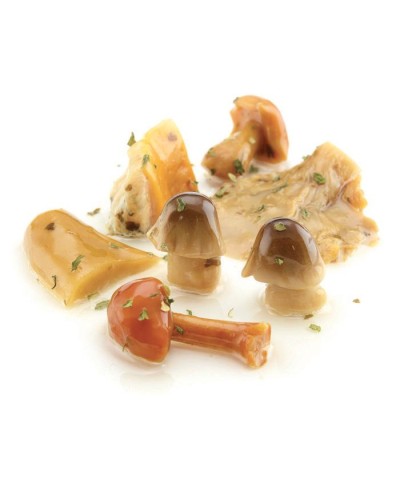 1 - CASTELLINO Cèpes et mélange de champignons grillés 1,9 kg - DLC 6 mois