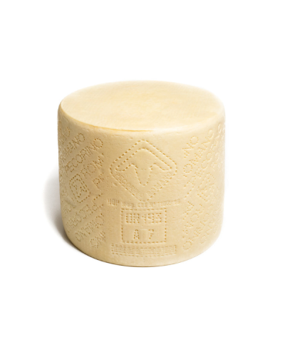 1 - SEPI FORMAGGI Pecorino Romano DOP - 32 kg – TMC 6 mesi – stagionato 5 mesi