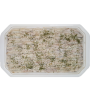 1 - ALICE LE GIOIE DEL MARE Marinierte Sardellenfilets 1 kg - RLZ 3 Monate