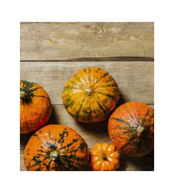 Zucca italiana: proprietà, caratteristiche ed utilizzi di un prodotto italiano esempio di biodiversità